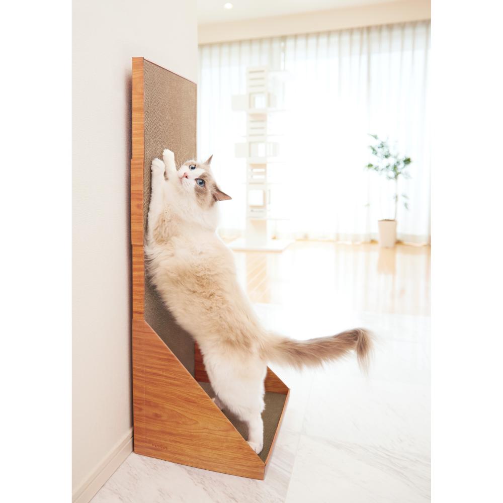 ガリガリウォール 100 ティーブラウン メーカー直送▼返品・キャンセル不可【他商品との同時購入不可】