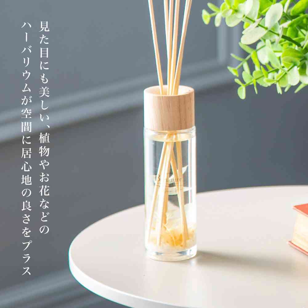 B-nature(ビーネイチャー) リードディフューザー オーシャンブルー BN-005