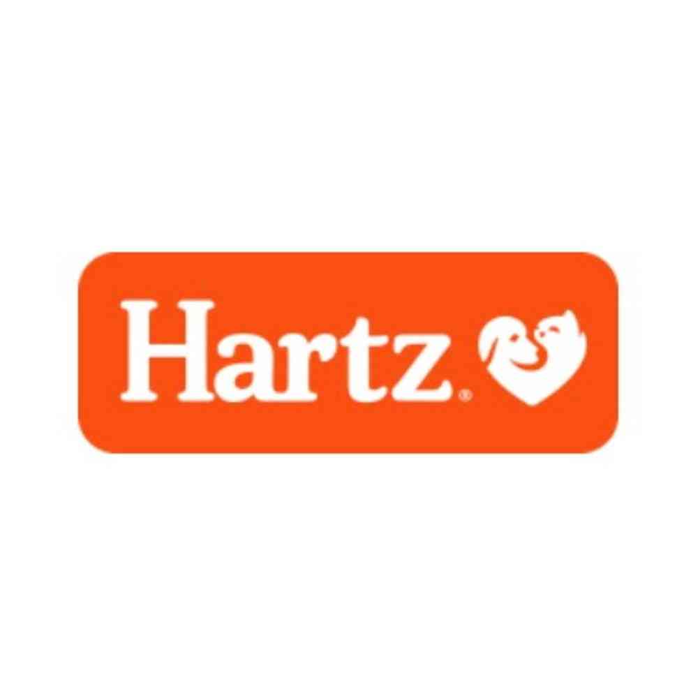 ハーツ ティーザー ダブルソフトタイプ S