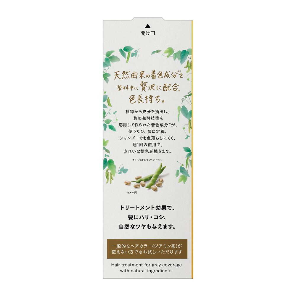 ブローネ ナチュリラカラートリートメント 白髪用 ダークブラウン 本体 155g