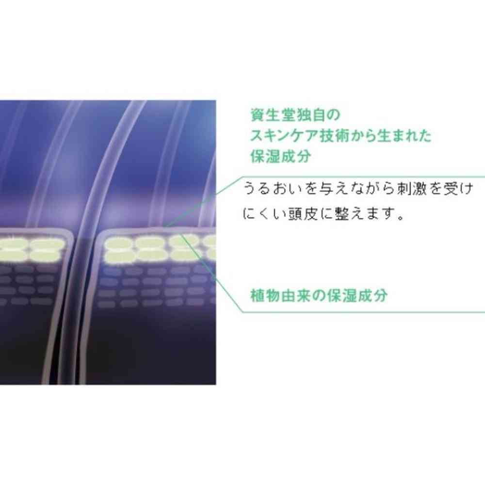 資生堂 プロフェッショナル ザ・ヘアケア フェンテフォルテ トリートメント A(レフィル) 1800g