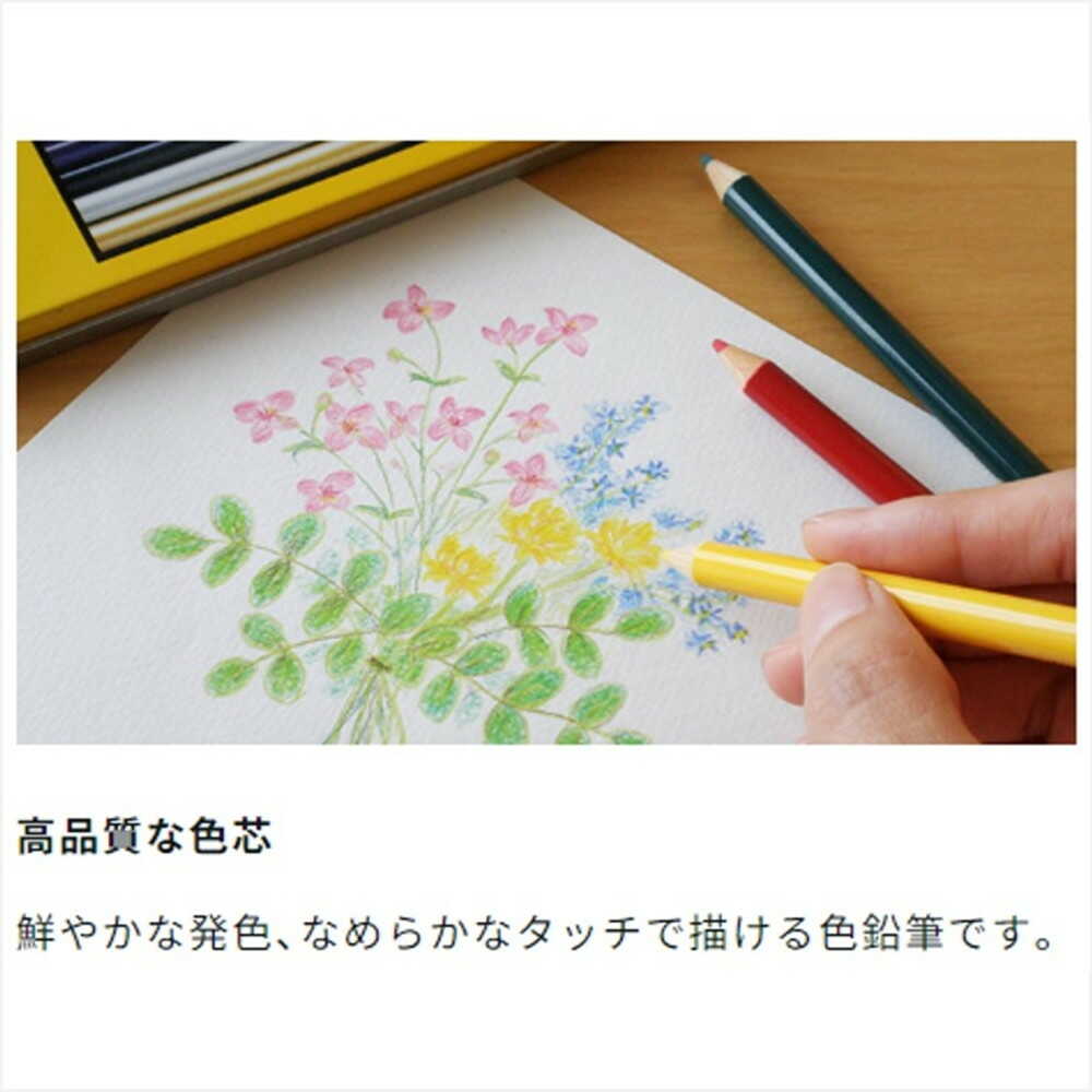 トンボ鉛筆 色鉛筆NA 紙箱 24色 24色