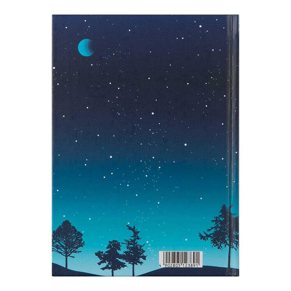 ミドリ 日記 星空柄 1冊