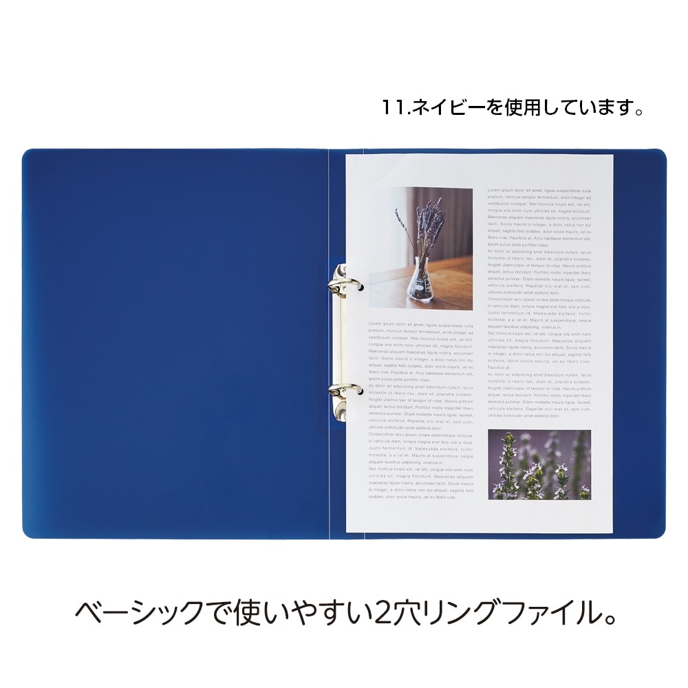 LIHITLAB.soeruリングフアイルA4Sアイスブルー 1個