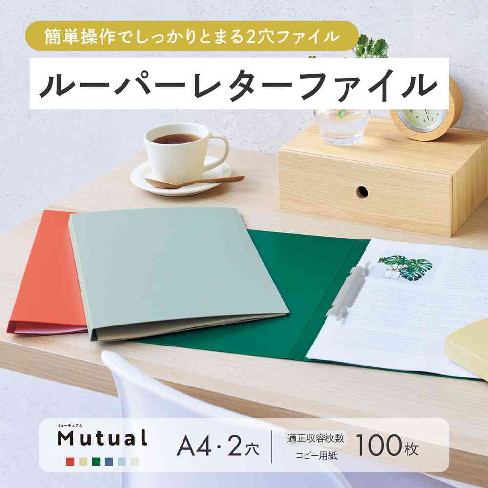 リヒトラブ Mutual ルーパーレターファイル A4 ライトブルー 1冊 ライトブルー