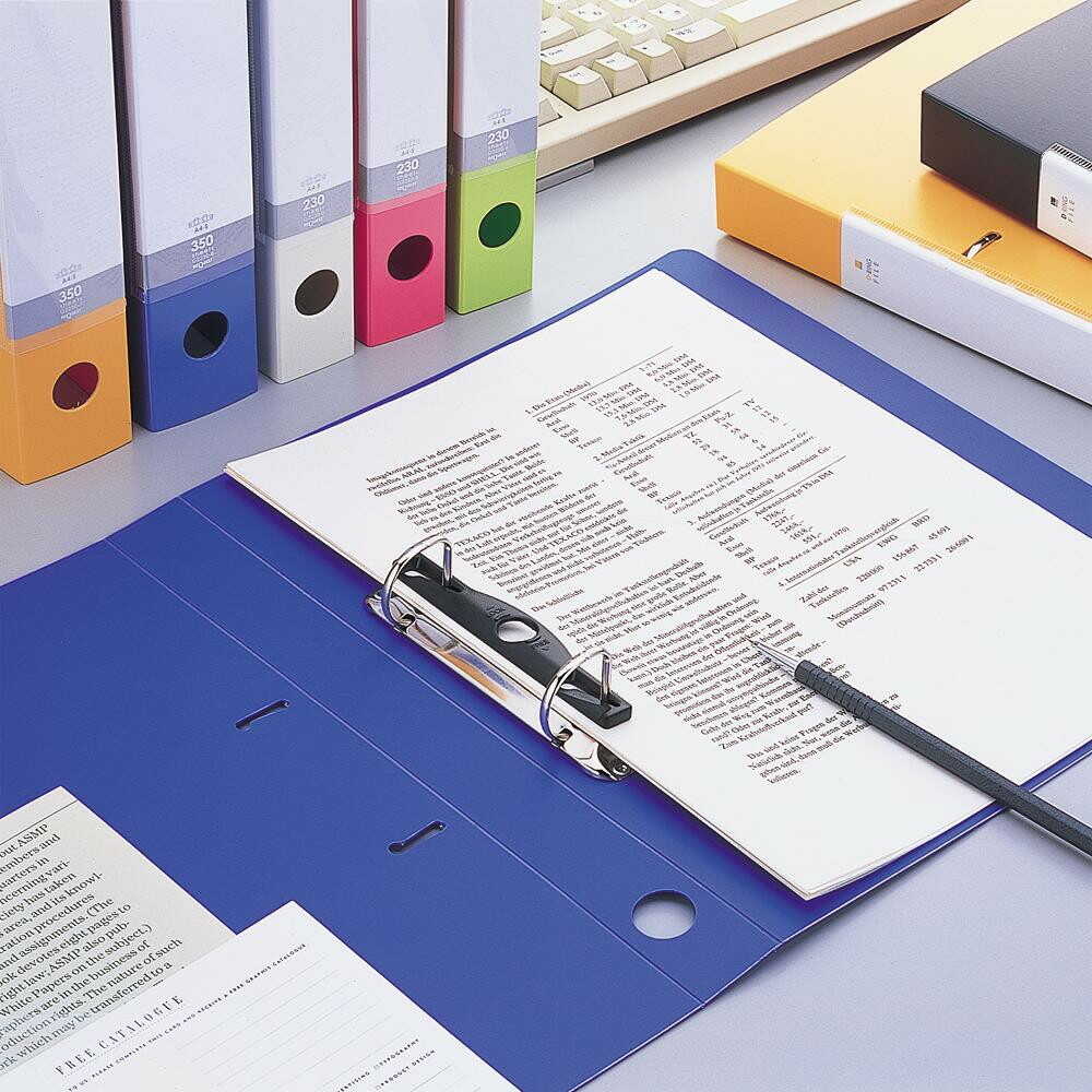 リヒトラブ リクエスト D型リングファイル A4 青 1冊 8青