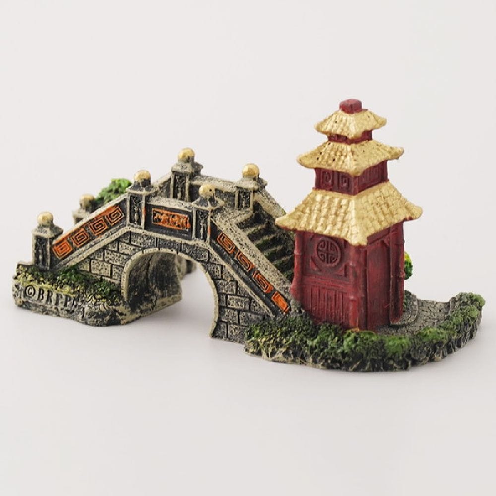 aquaneruアクアリウム日本庭園 1個