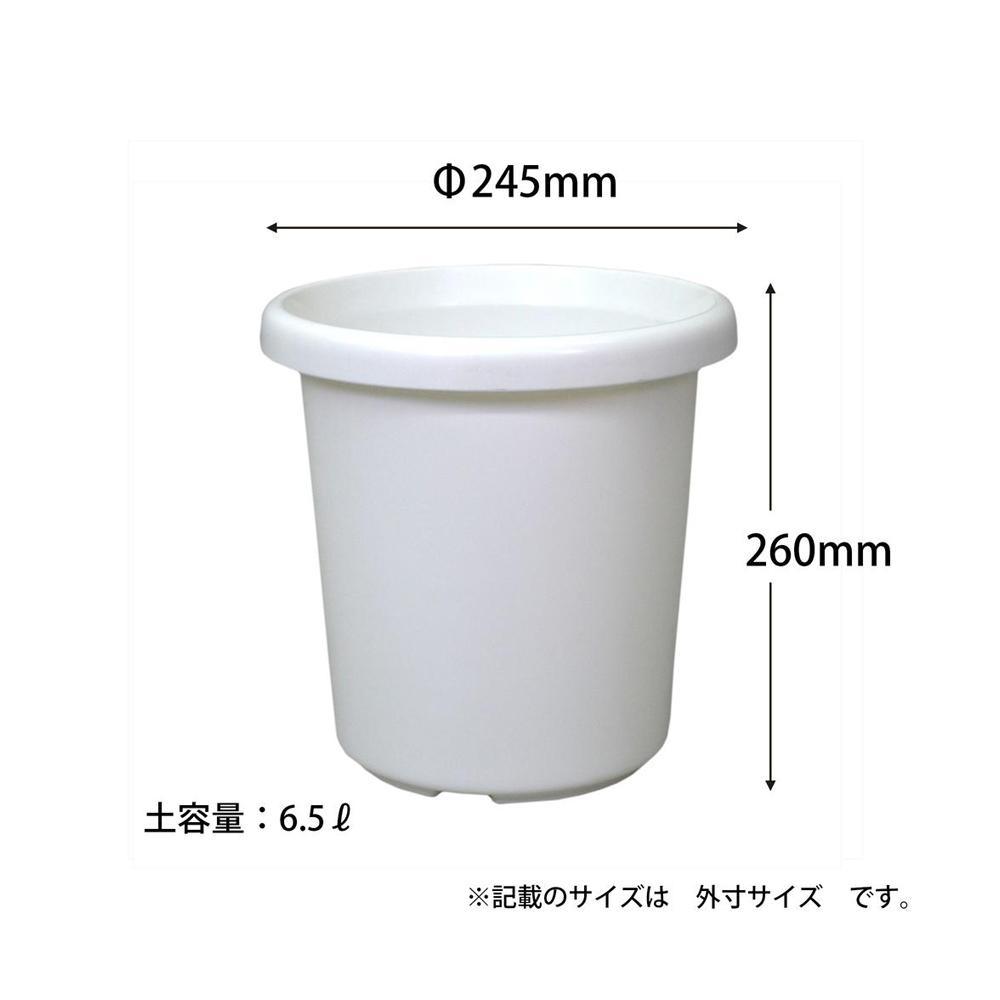 アップルウェアー 長鉢F型 ホワイト ホワイト