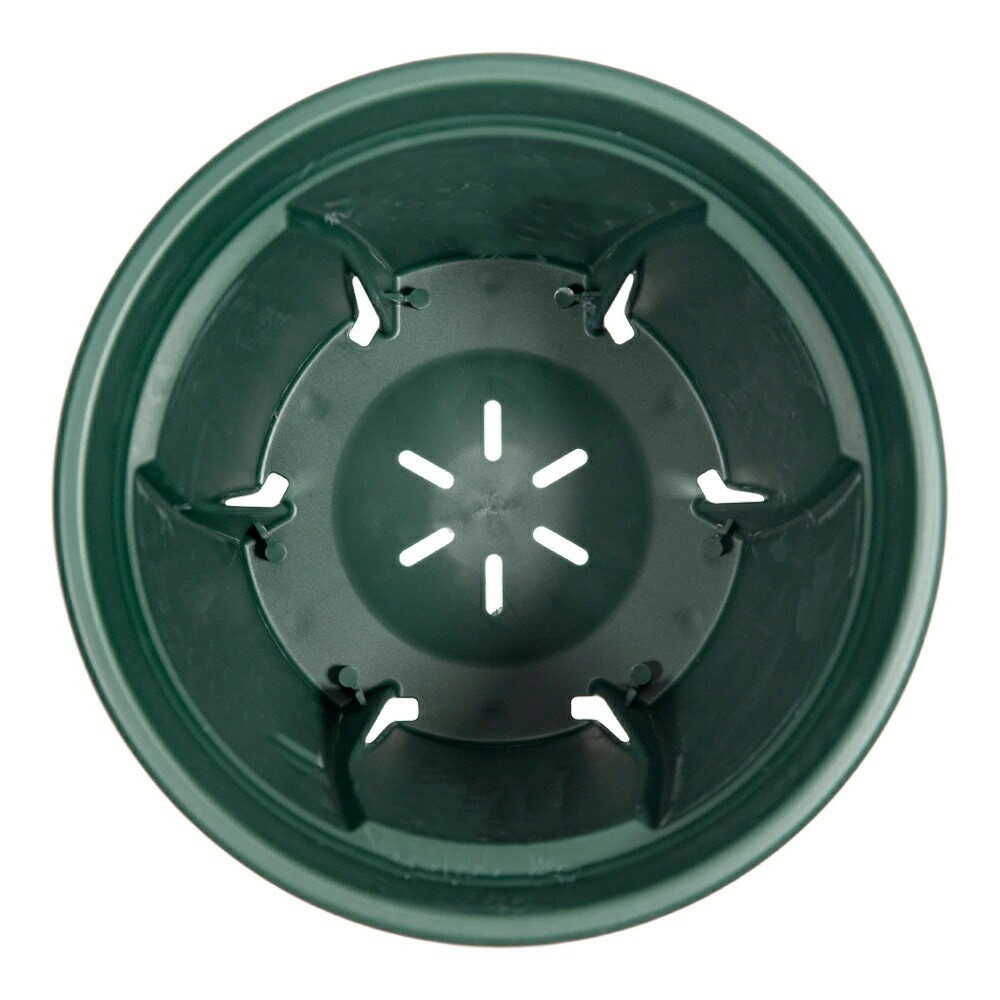 アップルウェアー 根っこつよし 5号 グリーン グリーン