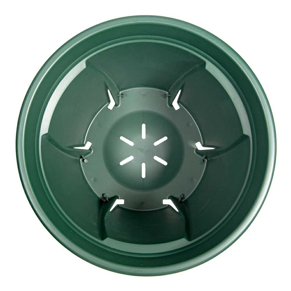 アップルウェアー 根っこつよし 9号 グリーン グリーン