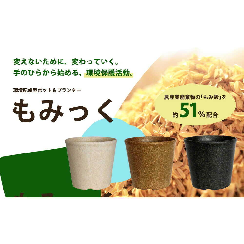 welzo もみっくプレート ブラック 8号 ブラック