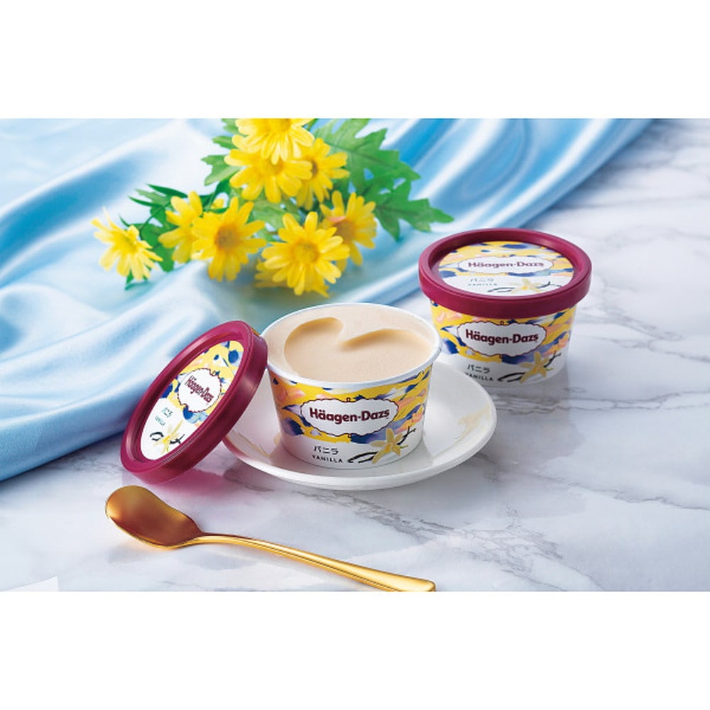 ◆【お歳暮限定】ハーゲンダッツ シーズンセレクト◇メーカー直送 ▼返品・キャンセル不可【他商品との同時購入不可】