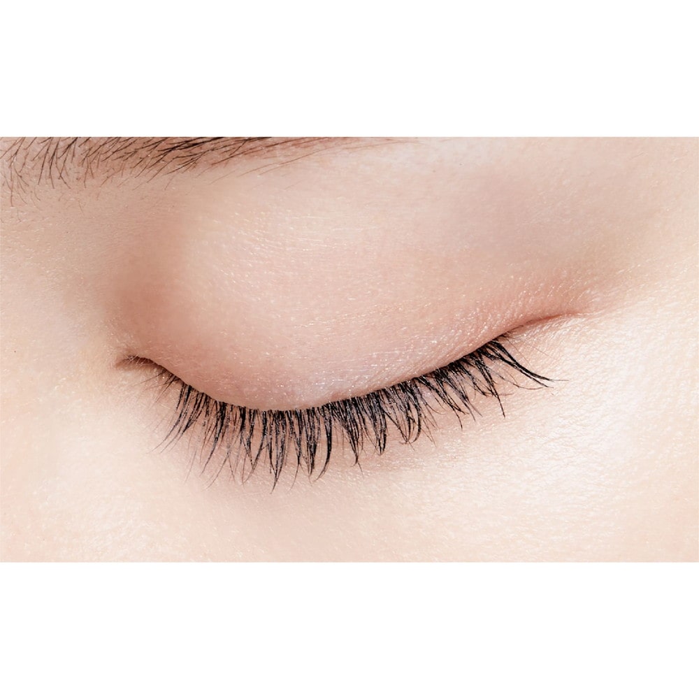 DUP(ディーアップ) パーフェクトエクステンション マスカラN ブラック