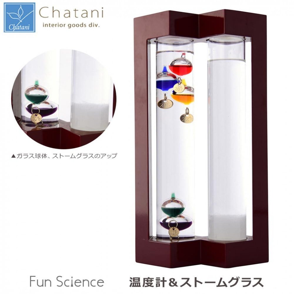 温度計&ストームグラス 333-273 メーカー直送 ▼返品キャンセル不可【他商品との同時購入不可】