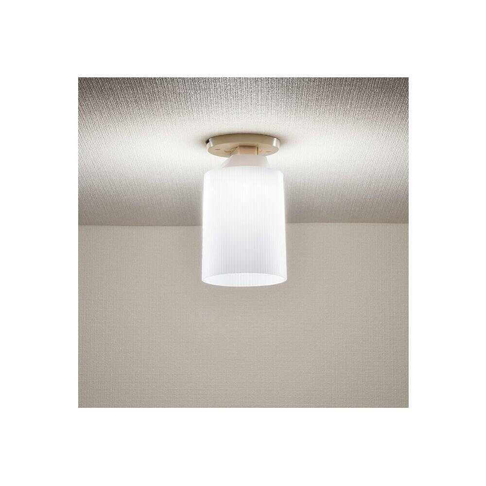 オーム電機 LEDミニシーリングライト 昼白色 ホワイト