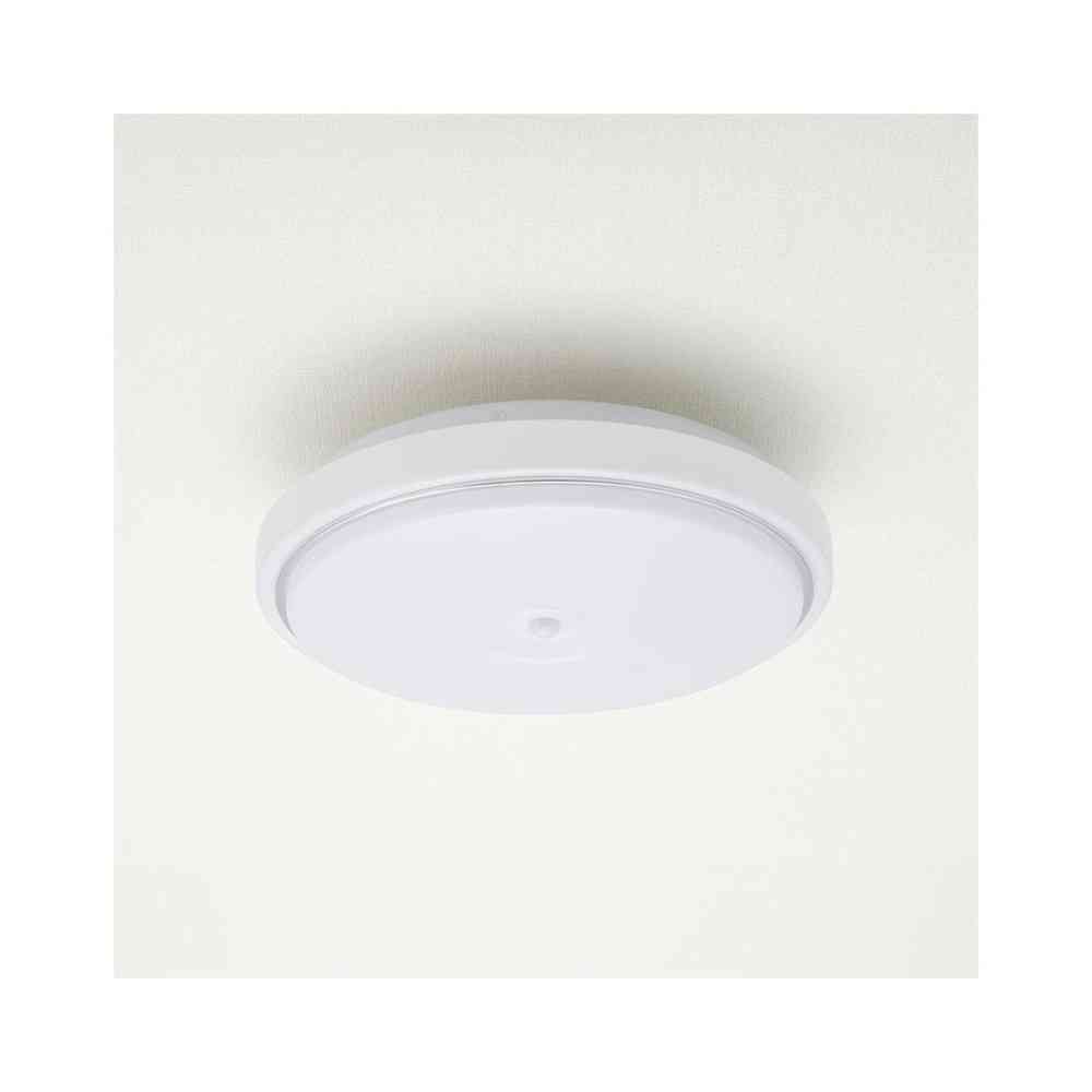 オーム電機 センサー付 LED内玄関灯 昼光色 昼光色