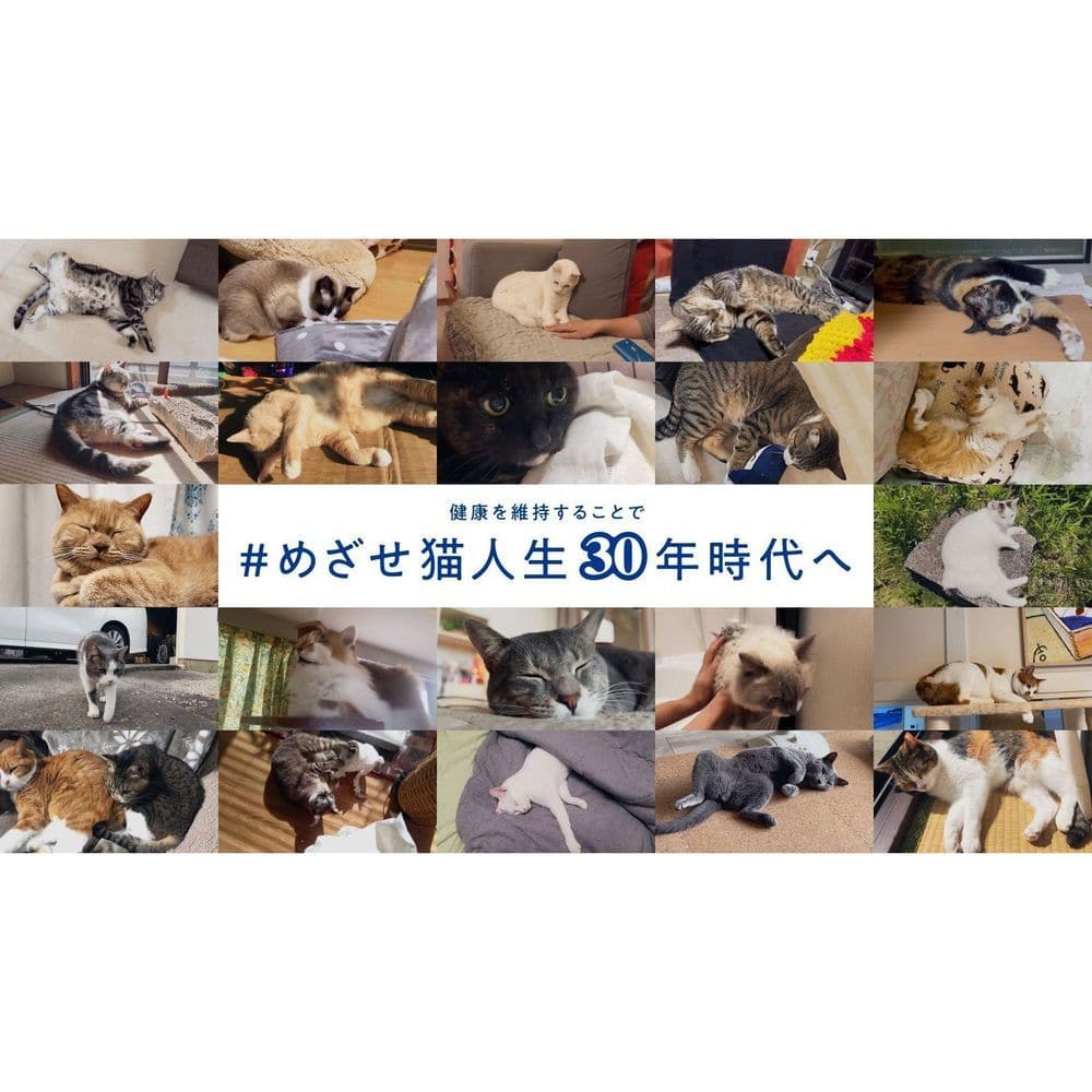 AIM30 避妊・去勢おためし 80g