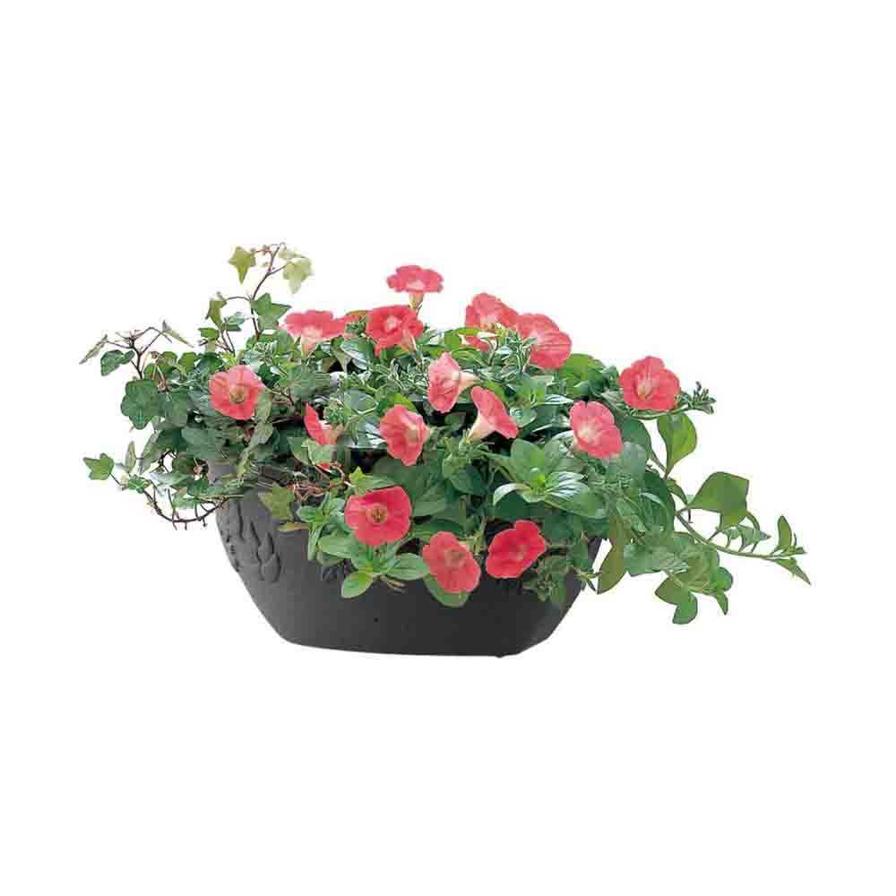 リッチェル ハナール 壁掛け28型 1個 ダークグレー