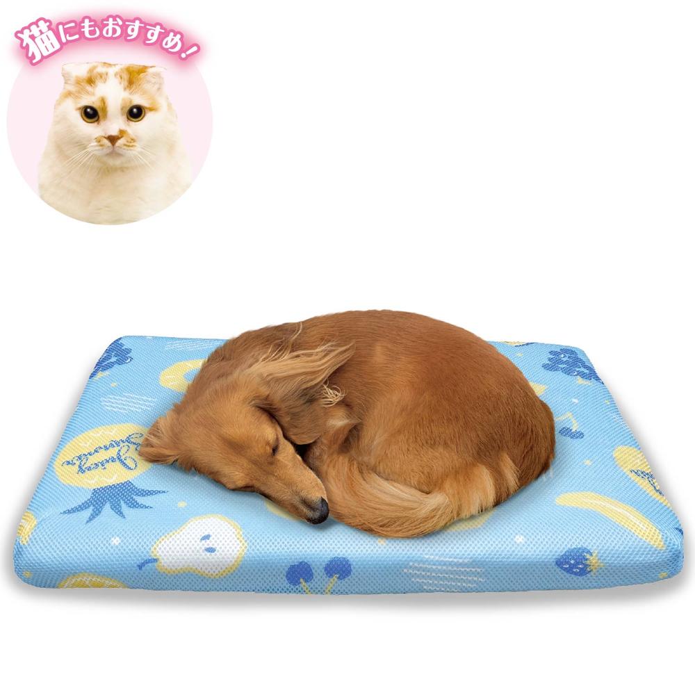 ペットにやさしい高反発ベッド S フルーツソーダ メーカー直送 ▼返品・キャンセル不可【他商品との同時購入不可】