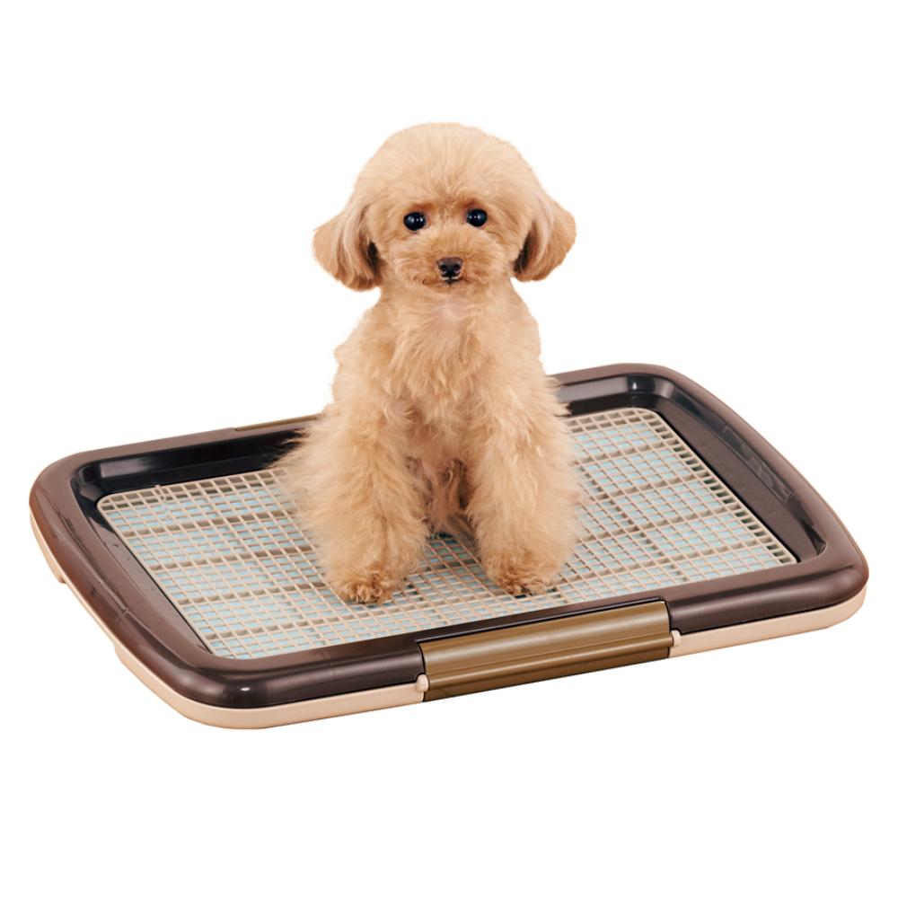 しつけるトレーメッシュプラスS ブラウン メーカー直送▼返品・キャンセル不可【他商品との同時購入不可】