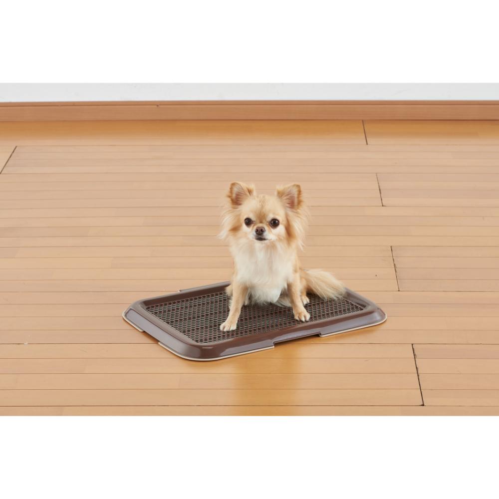 薄型しつけるトレーS ブラウン メーカー直送▼返品・キャンセル不可【他商品との同時購入不可】