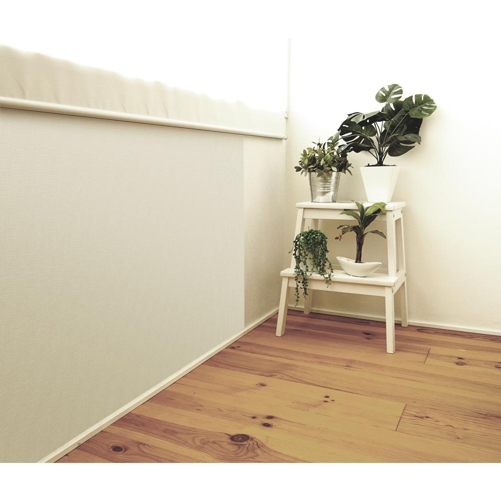 つめキズ保護シート NTS-02 ムジ L メーカー直送▼返品・キャンセル不可【他商品との同時購入不可】