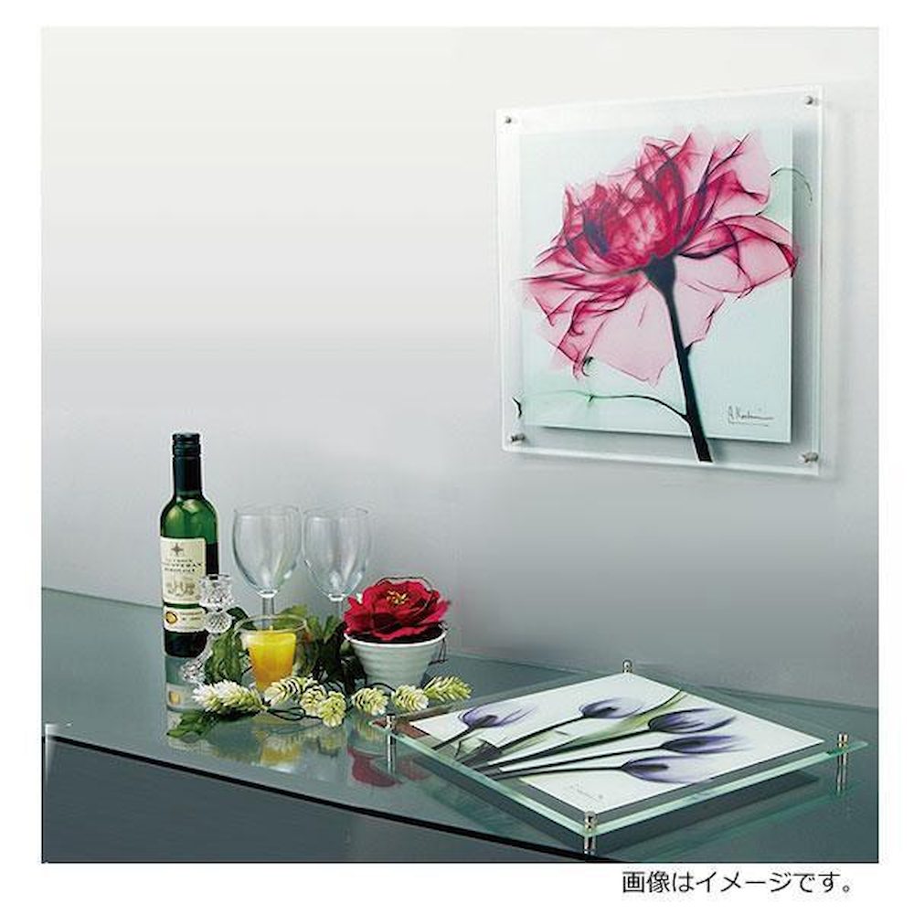 X RAY ガラス アート 「グリーン ユーカリ」 Mサイズ 【直送品】 返品・キャンセル・他商品と同時購入は不可