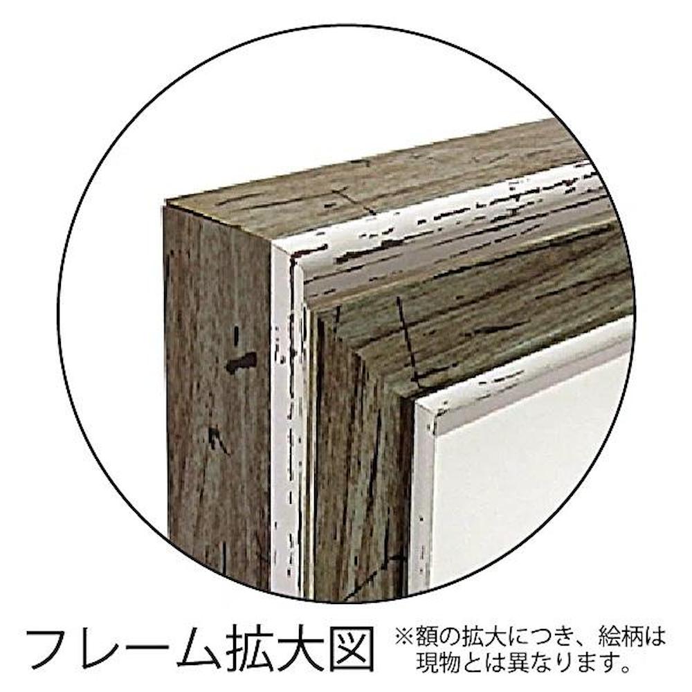 アートパネル フランツ ヘイグル 「デリケート ツィグス」 【直送品】 返品・キャンセル・他商品と同時購入は不可