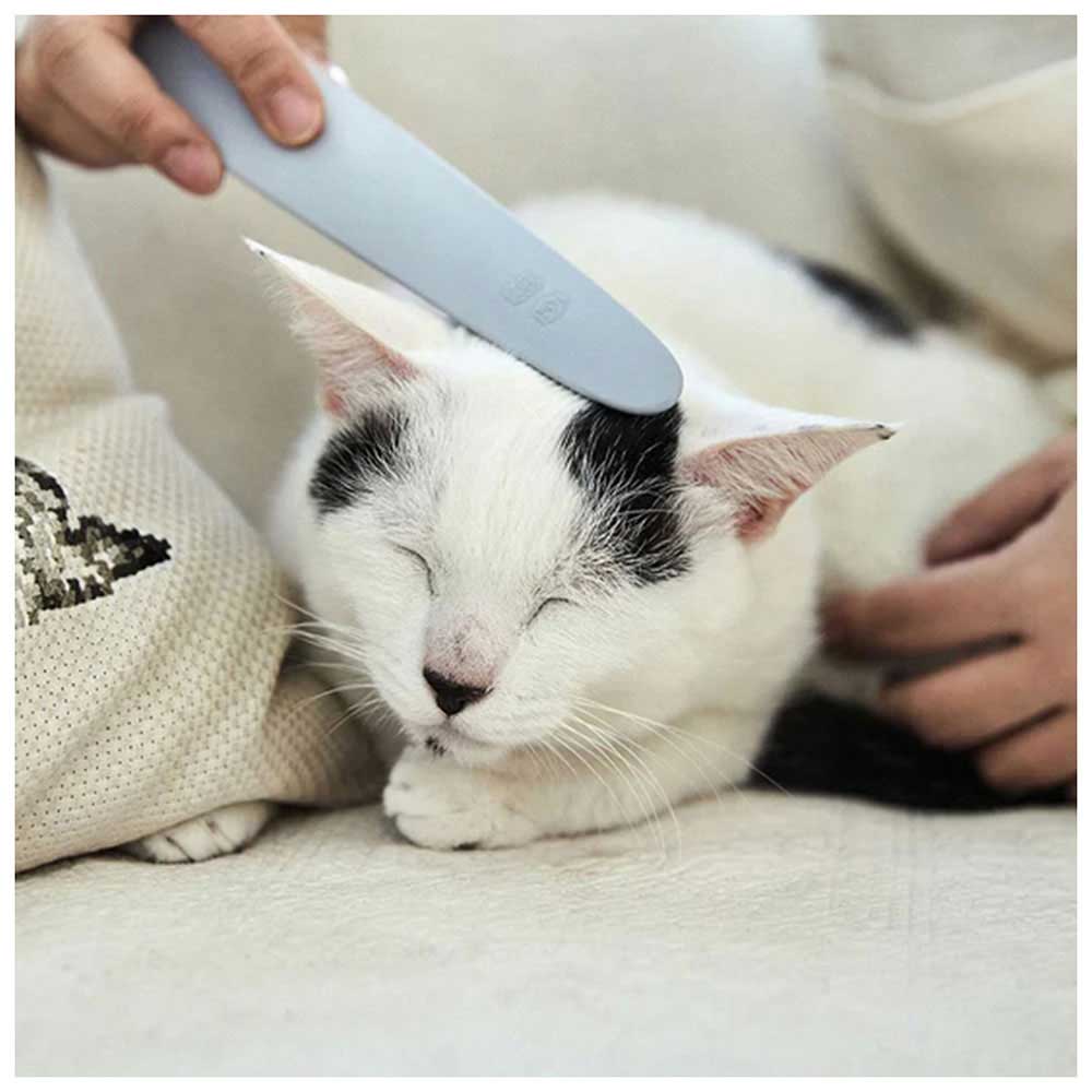 鑢のワタオカ ワタオカ ねこじゃすり ライトグレー ワタオカ 本体サイズ (幅X奥行X高さ) :3.6×21×1cm 本体重量:0.39kg 原産国:日本 ワタ ねこじゃすり ライトグレー [ワタオカ製]11月10日限定