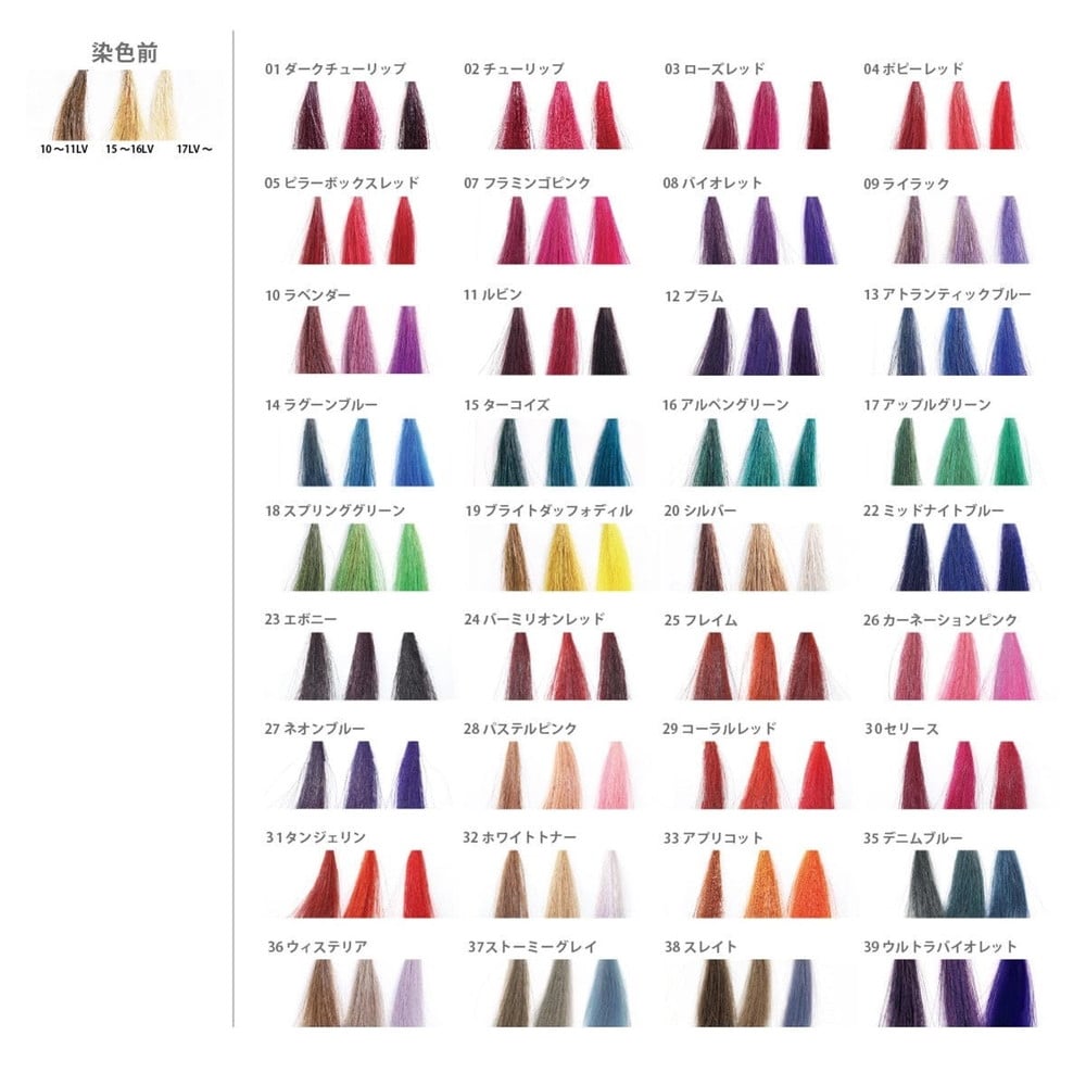 アレスインターナショナル ディレクションカラー タンジェリン 88ml