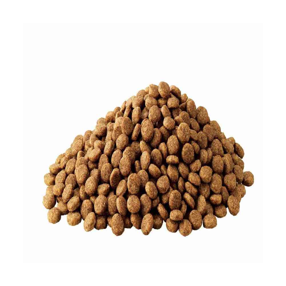 マースジャパン アイムス 成犬用 体重管理用 チキン 小粒