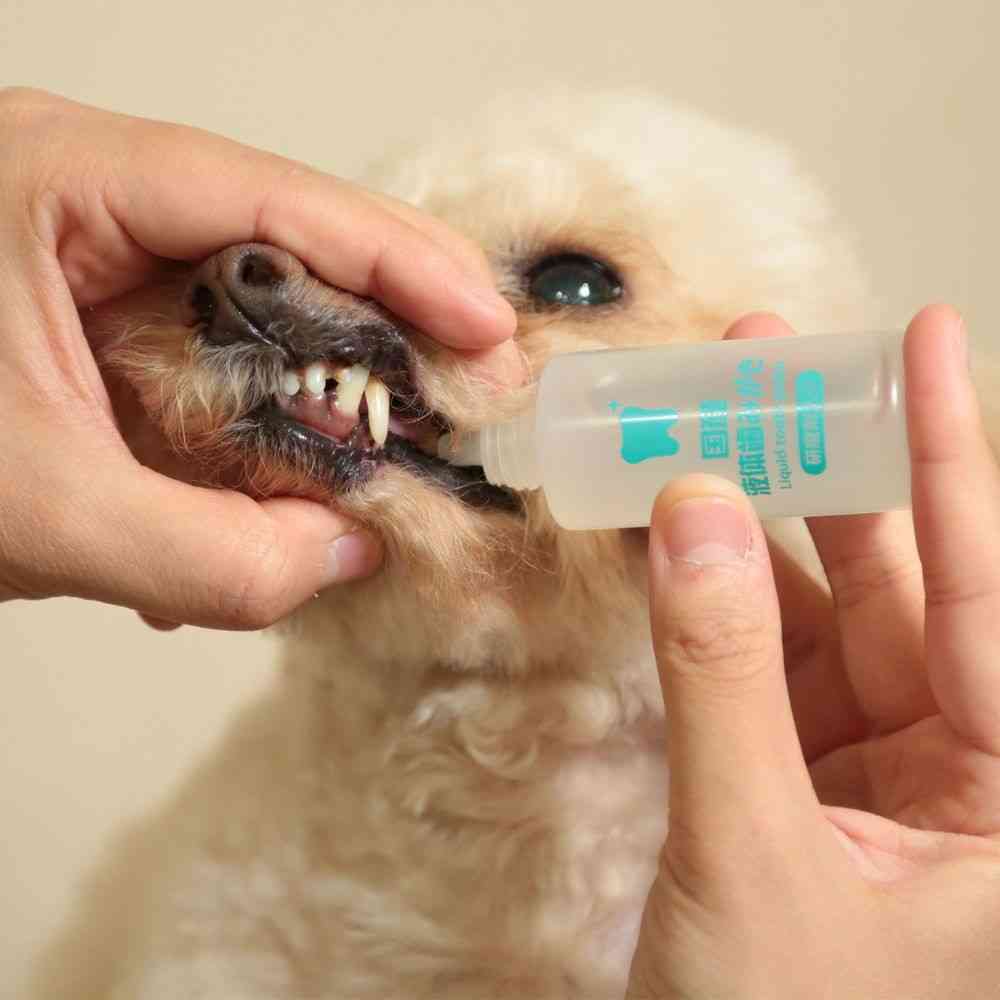 トーラス国産 液体歯みがき