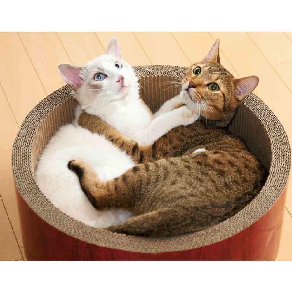 ガリガリサークル スクラッチャー ビッグ メーカー直送▼返品・キャンセル不可【他商品との同時購入不可】