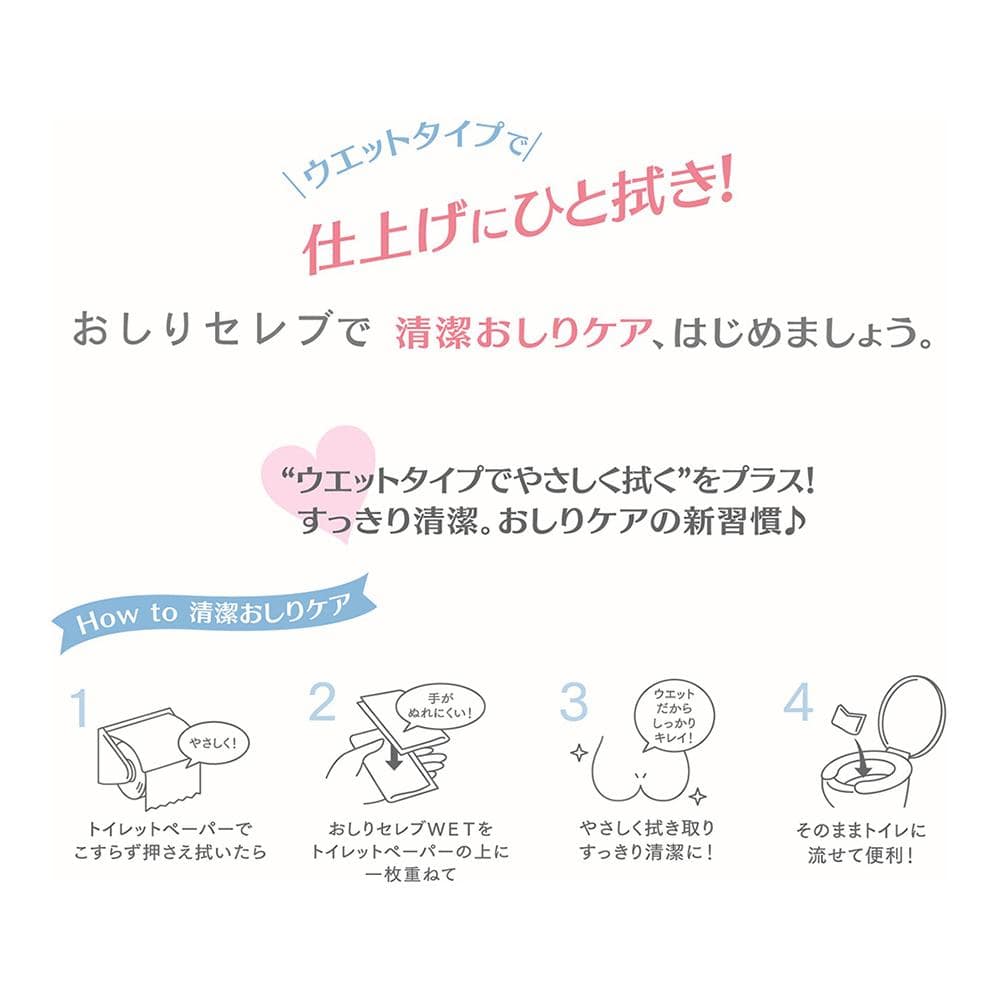 ネピア おしりセレブWET薬用 おでかけ用 12枚【3個セット】