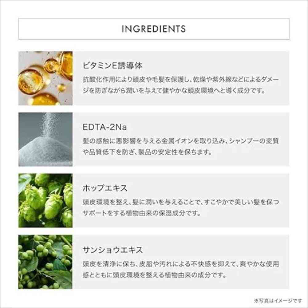 資生堂 プロフェッショナル ザ・ヘアケア フェンテフォルテ トリートメント A 250g