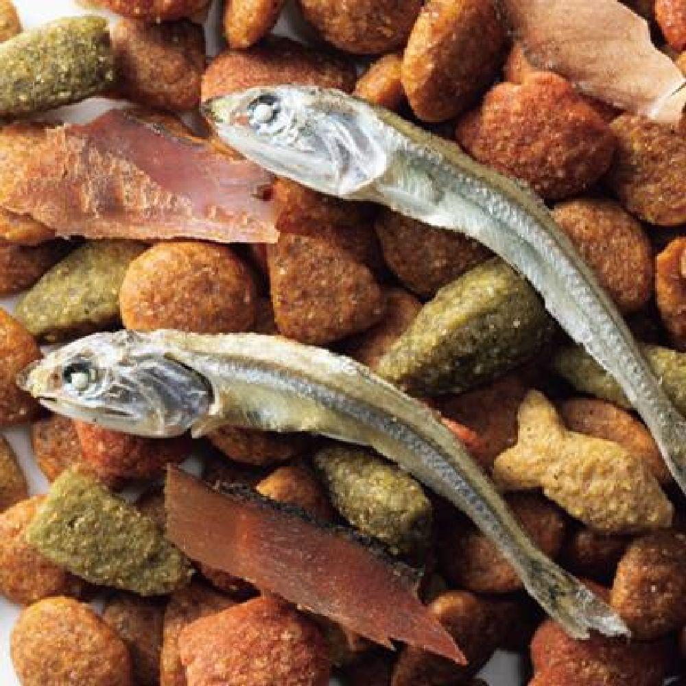 ミオコンボ まぐろ味かつおぶし小魚添 700g