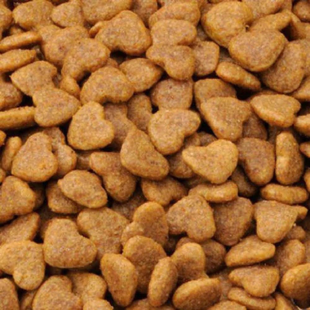 ビューティープロキャット腎臓の健康維持 8歳以上 1.4kg