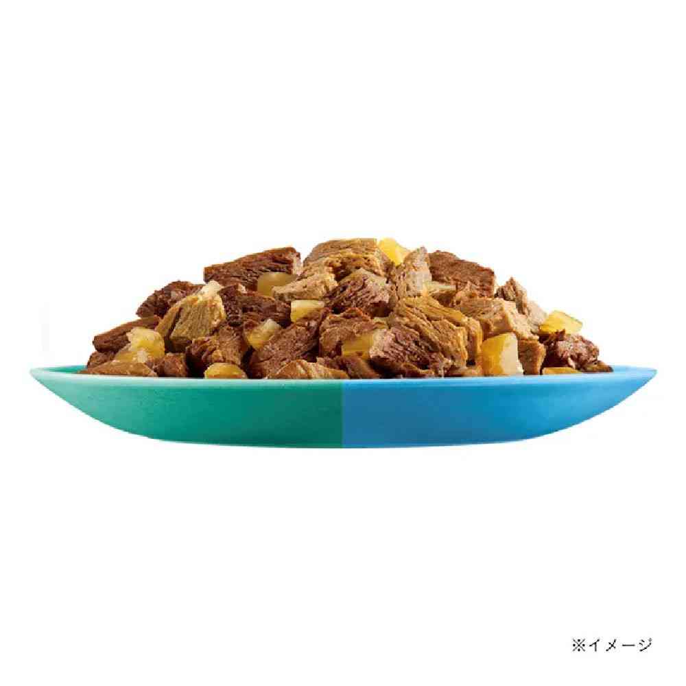 ピュリナフィリックスパウチ 12Pダブルのおいしさお魚お肉バラエティ 600g