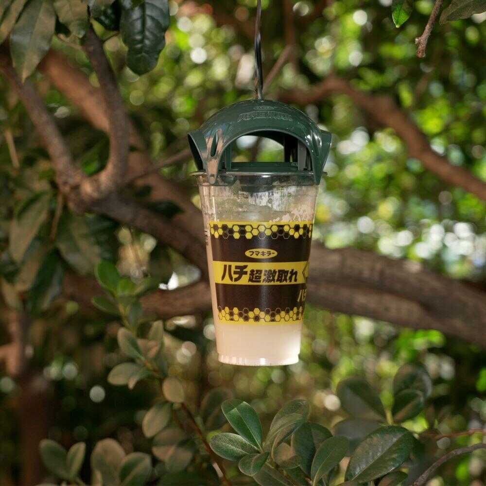 フマキラー ハチ超激取れ N 1セット