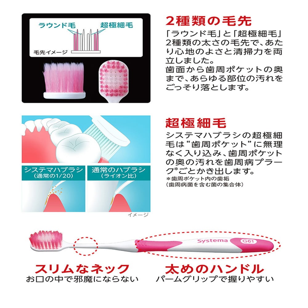 システマハブラシ極上プレミアムコンパクト ふつう