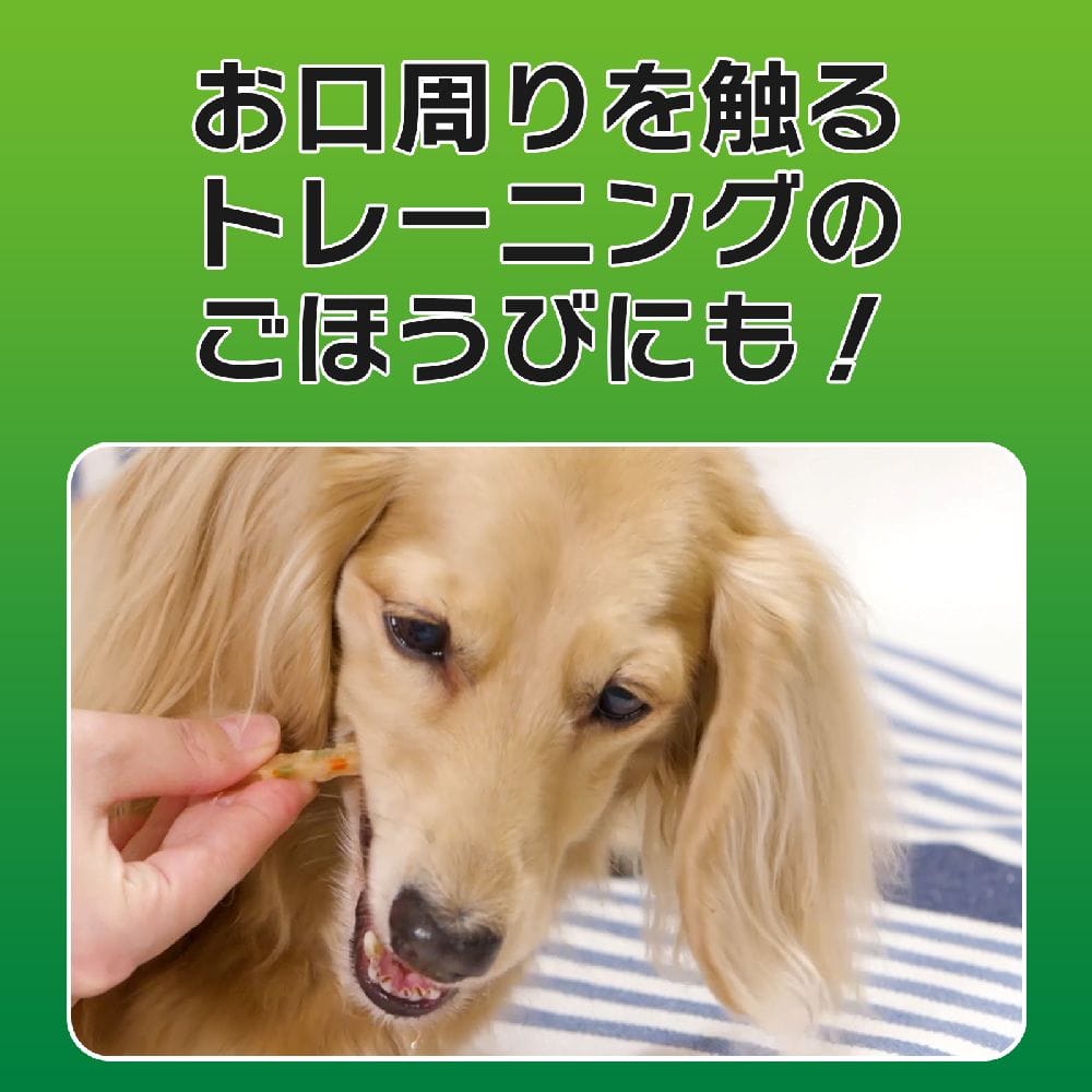 ライオンペット PETKISS 犬歯みがき低脂肪ササミ野菜 60g