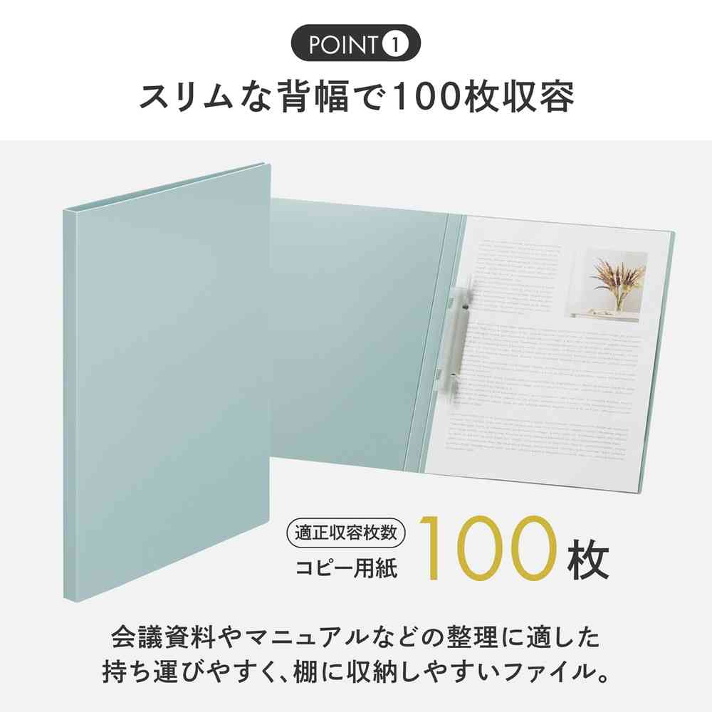 リヒトラブ Mutual ルーパーレターファイル A4 ライトブルー 1冊 ライトブルー