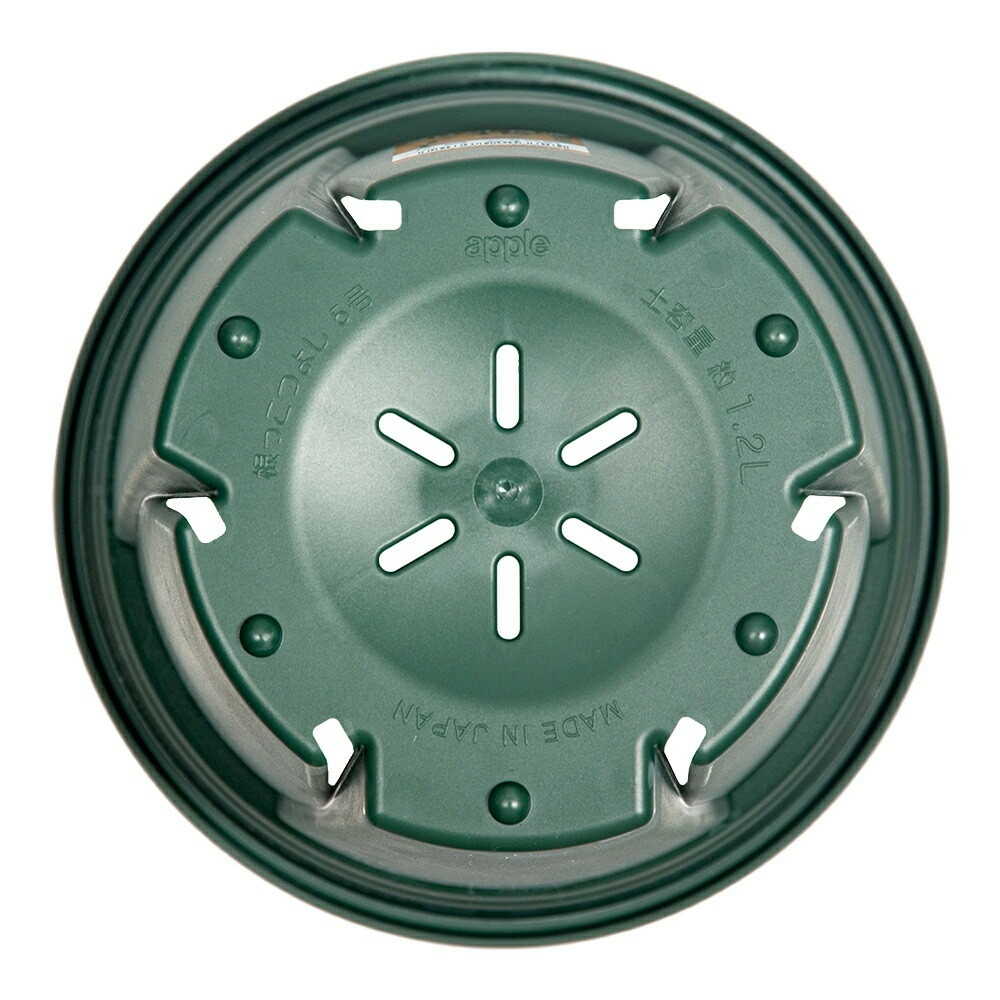 アップルウェアー 根っこつよし 5号 グリーン グリーン