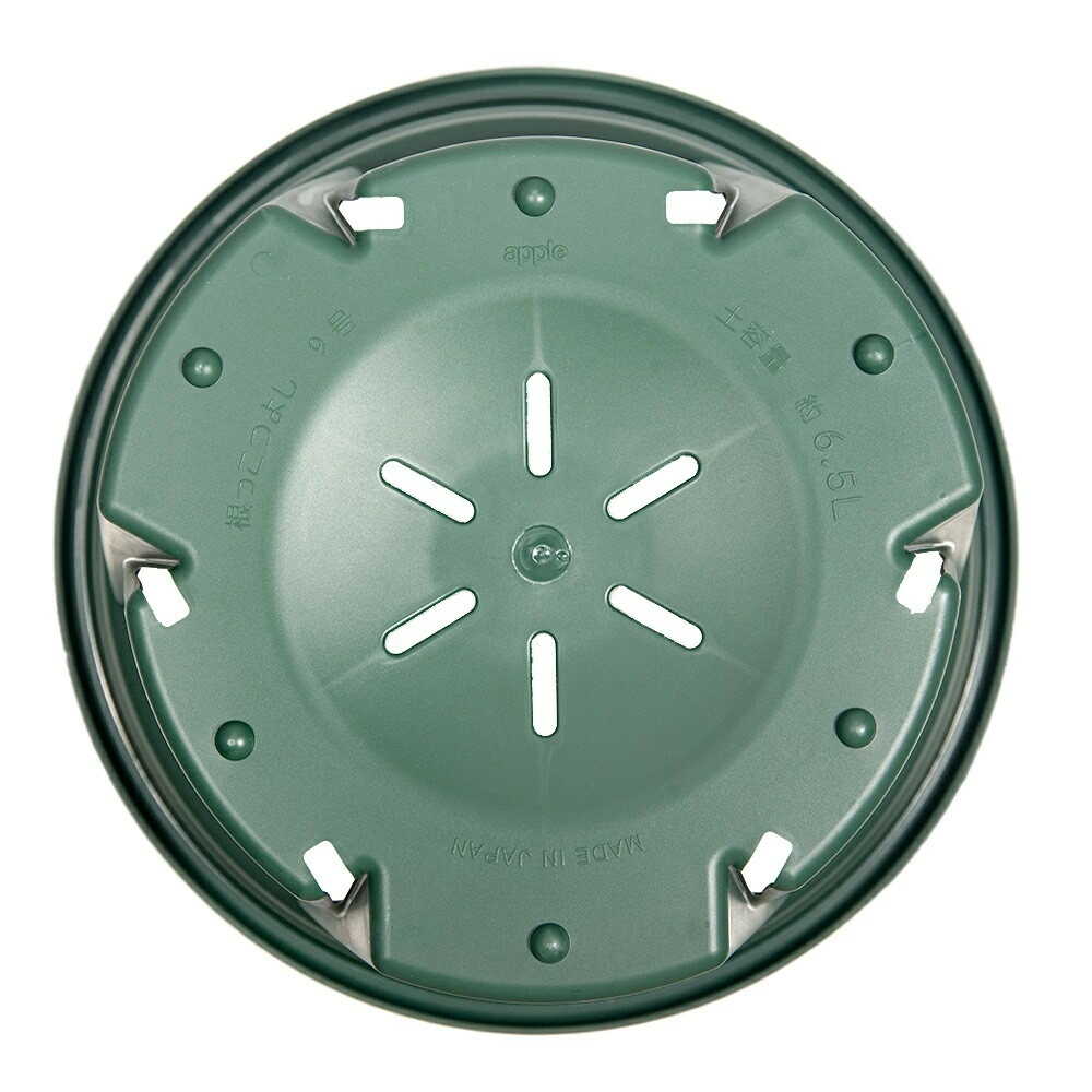 アップルウェアー 根っこつよし 9号 グリーン グリーン