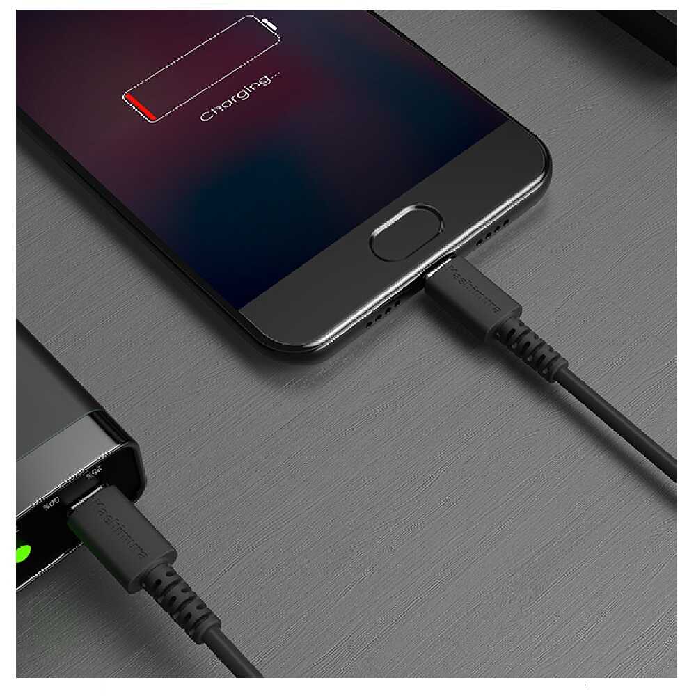 カシムラ USB充電&同期C-Cケーブル1.2m BK AJ661 ブラック