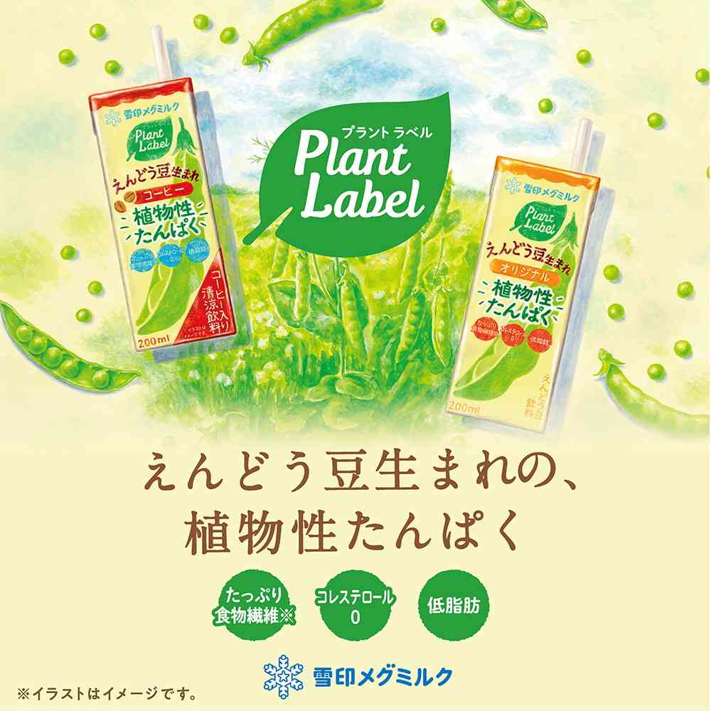 ◆雪印メグミルク えんどう豆生まれ コーヒー 200ml