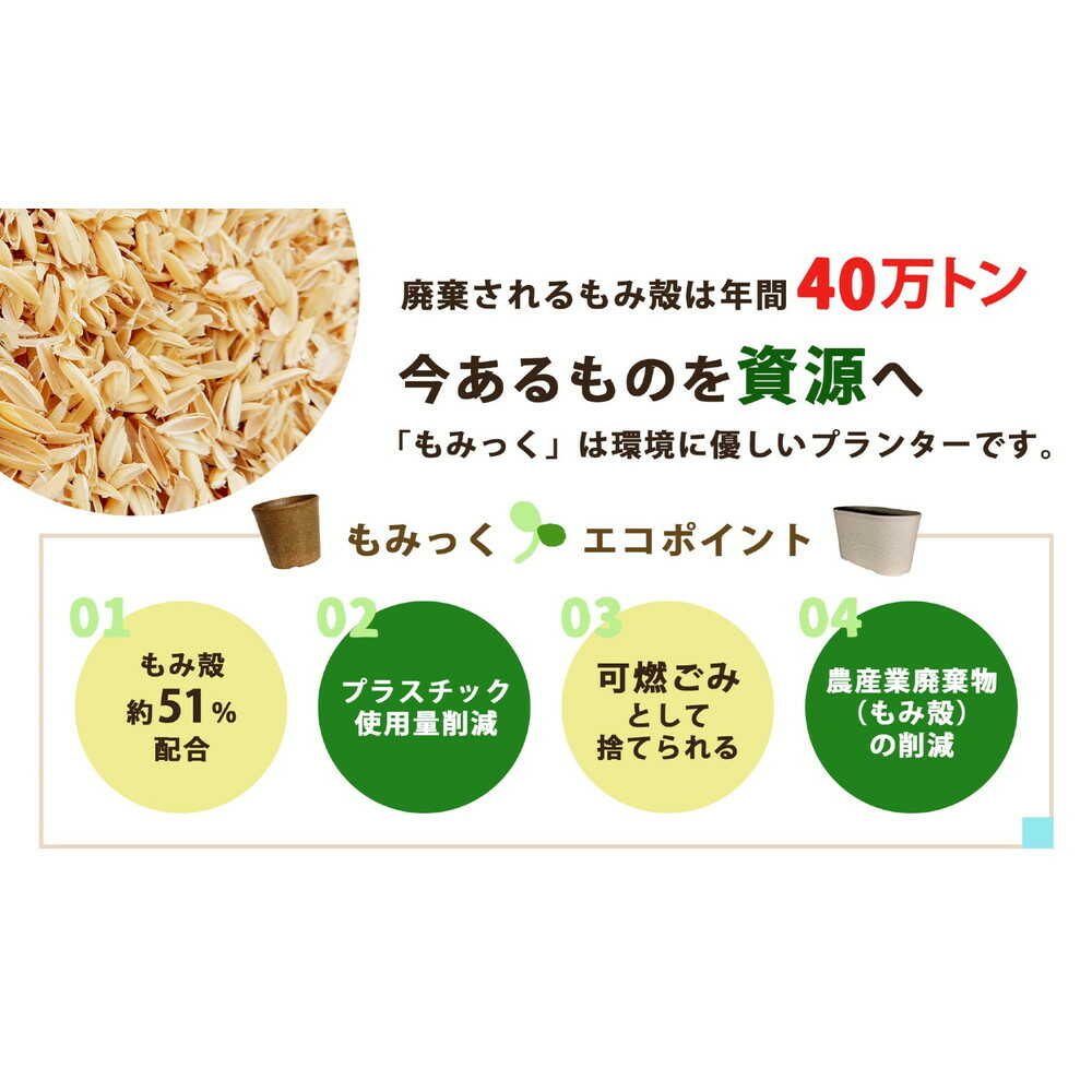 welzo もみっくプレート ブラック 8号 ブラック