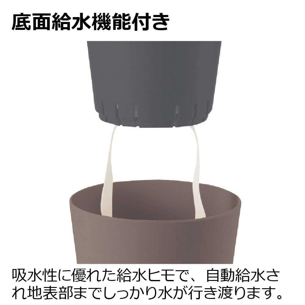 リッチェル ミエルノPlus ポット ホワイト ホワイト