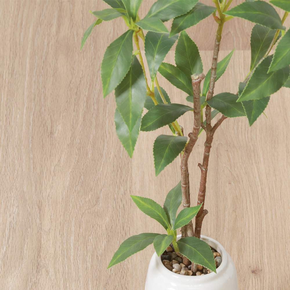 フェイクグリーン ギンモクセイ セラミックポット 41133 メーカー直送 ▼返品・キャンセル不可【他商品との同時購入不可】