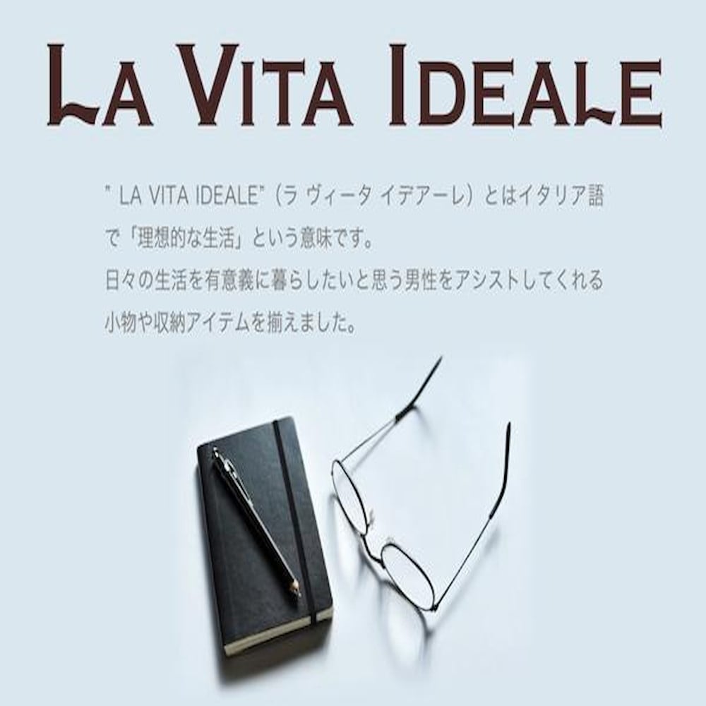 メンズボックスL(小物収納) 240-576BK メーカー直送 ▼返品キャンセル不可【他商品との同時購入不可】